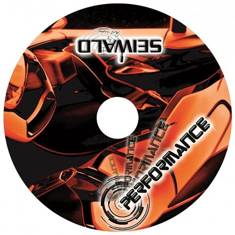 SEIWALD Performance Schlerstock Orange